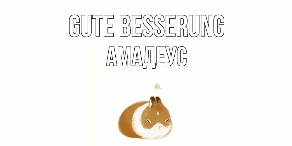 Открытка на каждый день с именем, Амадеус Gute Besserung морская свинка на открытке с пожеланиями не болеть Прикольная открытка с пожеланием онлайн скачать бесплатно 