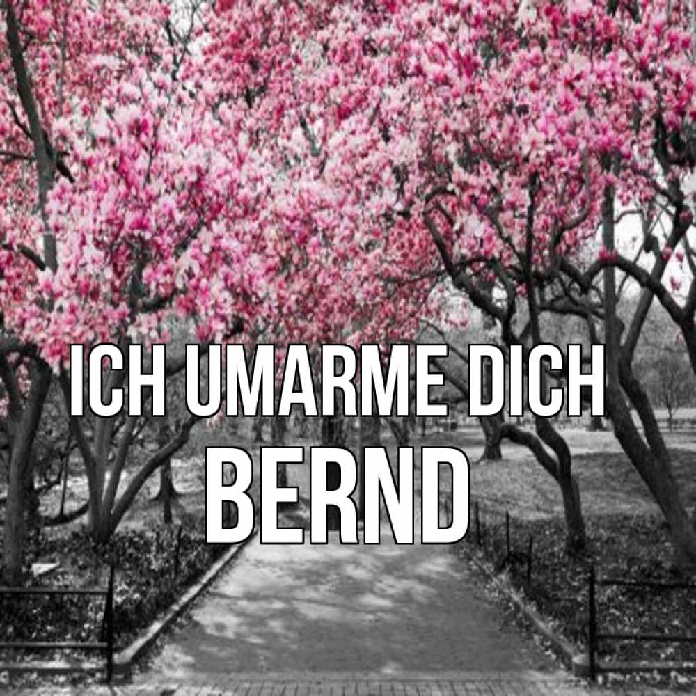 Открытка на каждый день с именем, Bernd Ich umarme dich обработанное фото Прикольная открытка с пожеланием онлайн скачать бесплатно 
