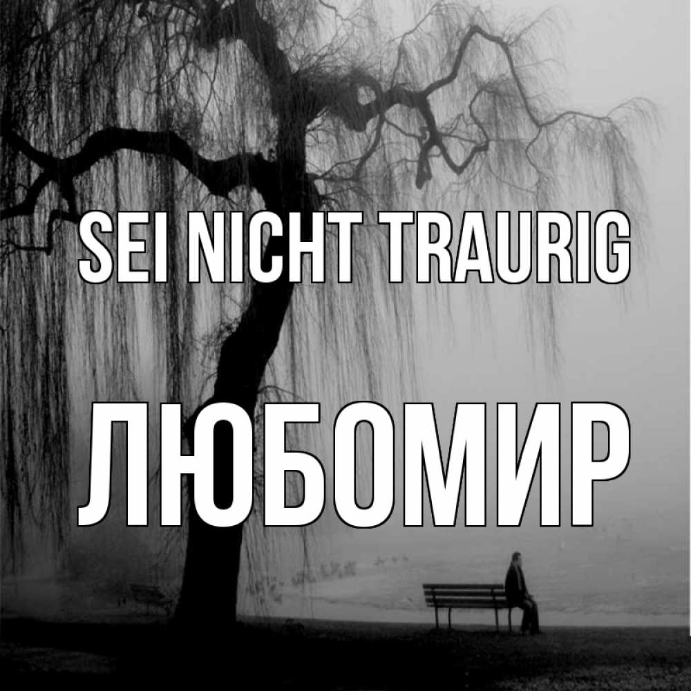 Открытка на каждый день с именем, Любомир Sei nicht traurig висящие ветки дерева и лавочка под деревом Прикольная открытка с пожеланием онлайн скачать бесплатно 