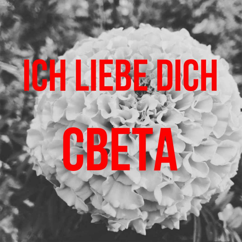 Открытка на каждый день с именем, Света Ich liebe dich подпись Прикольная открытка с пожеланием онлайн скачать бесплатно 