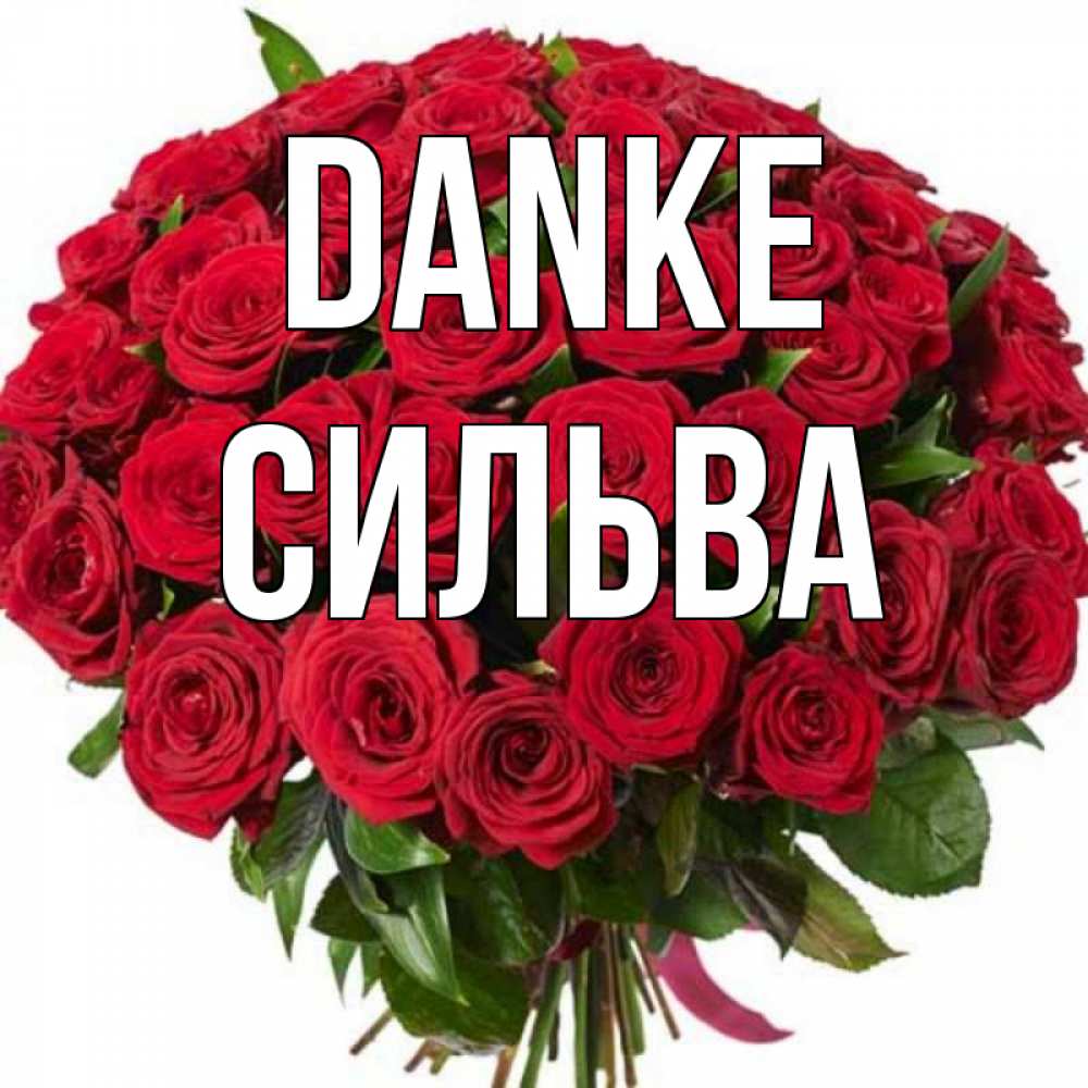 Открытка на каждый день с именем, Сильва Danke букет красных роз Прикольная открытка с пожеланием онлайн скачать бесплатно 