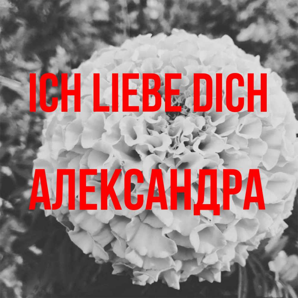 Открытка на каждый день с именем, Александра Ich liebe dich подпись Прикольная открытка с пожеланием онлайн скачать бесплатно 