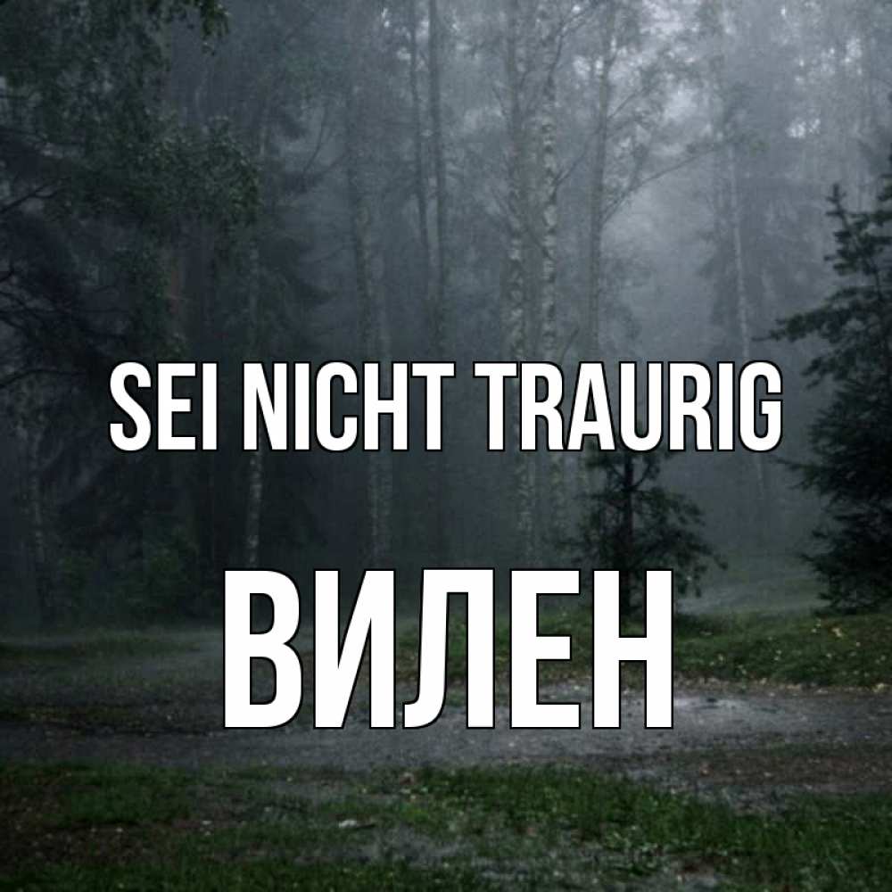 Открытка на каждый день с именем, Вилен Sei nicht traurig осень Прикольная открытка с пожеланием онлайн скачать бесплатно 