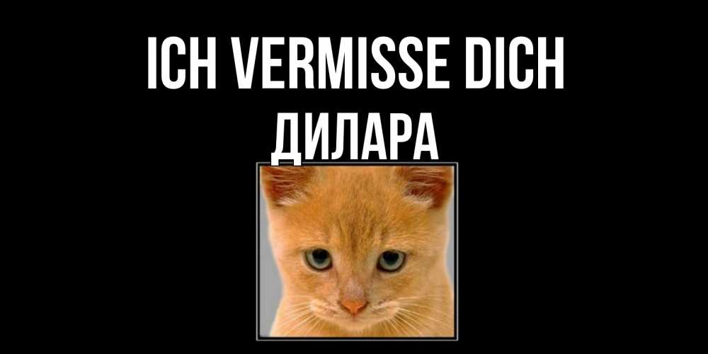 Открытка на каждый день с именем, Дилара Ich vermisse dich открытки рыжий котенок скучает по тебе Прикольная открытка с пожеланием онлайн скачать бесплатно 