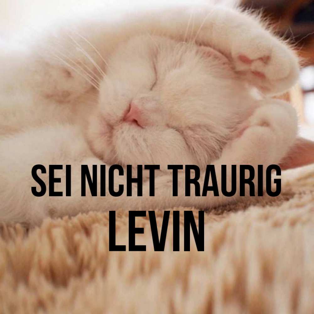 Открытка на каждый день с именем, Levin Sei nicht traurig Котенок спит Прикольная открытка с пожеланием онлайн скачать бесплатно 