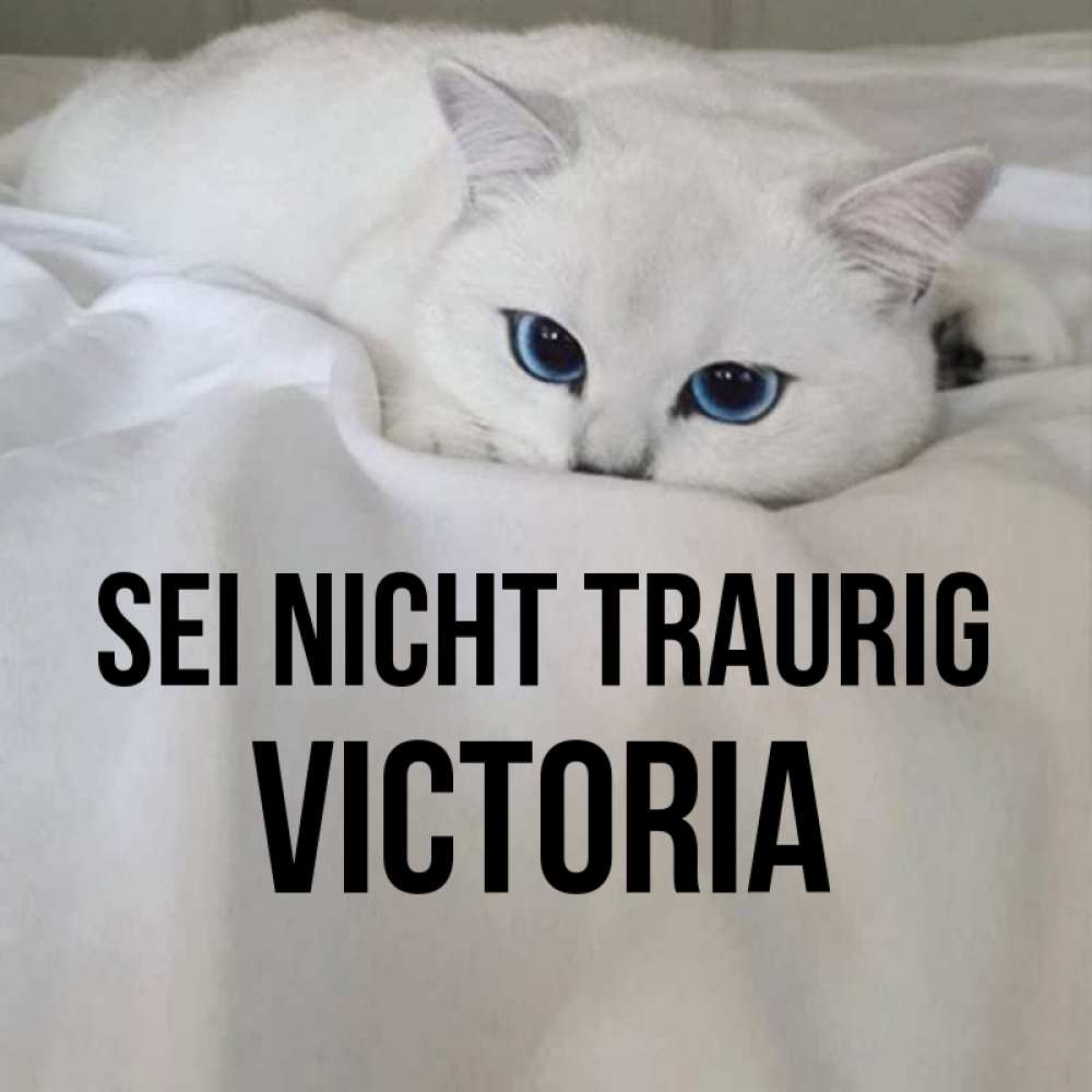 Открытка на каждый день с именем, Victoria Sei nicht traurig Голубоглазая кошка Прикольная открытка с пожеланием онлайн скачать бесплатно 