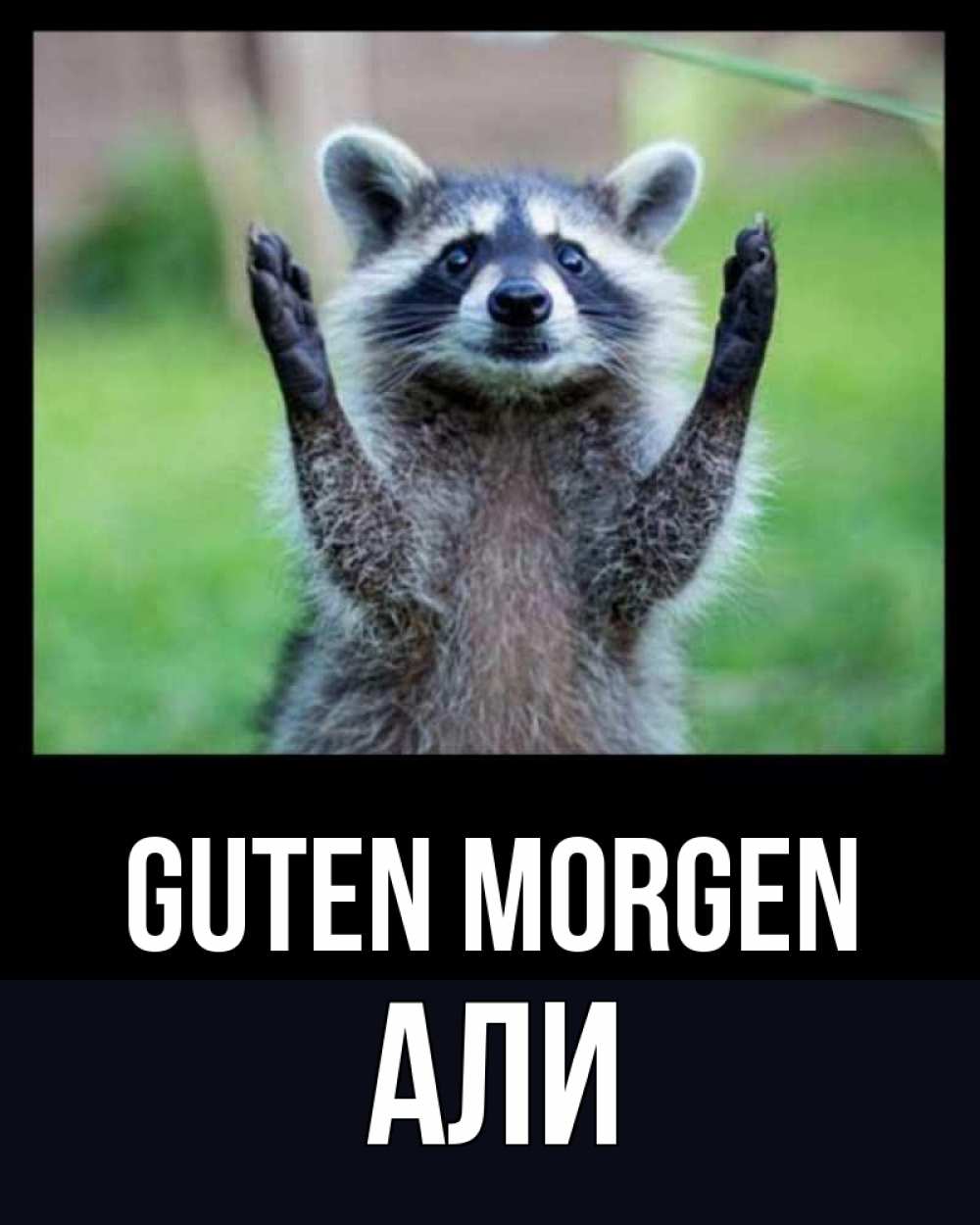 Открытка на каждый день с именем, Али Guten Morgen хорошее настроение утречком Прикольная открытка с пожеланием онлайн скачать бесплатно 