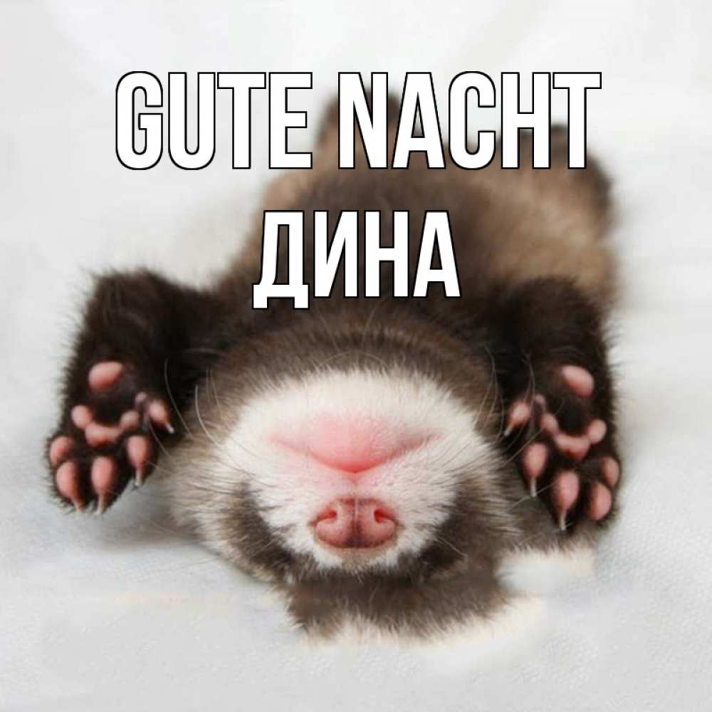 Открытка на каждый день с именем, Дина Gute Nacht зверек Прикольная открытка с пожеланием онлайн скачать бесплатно 