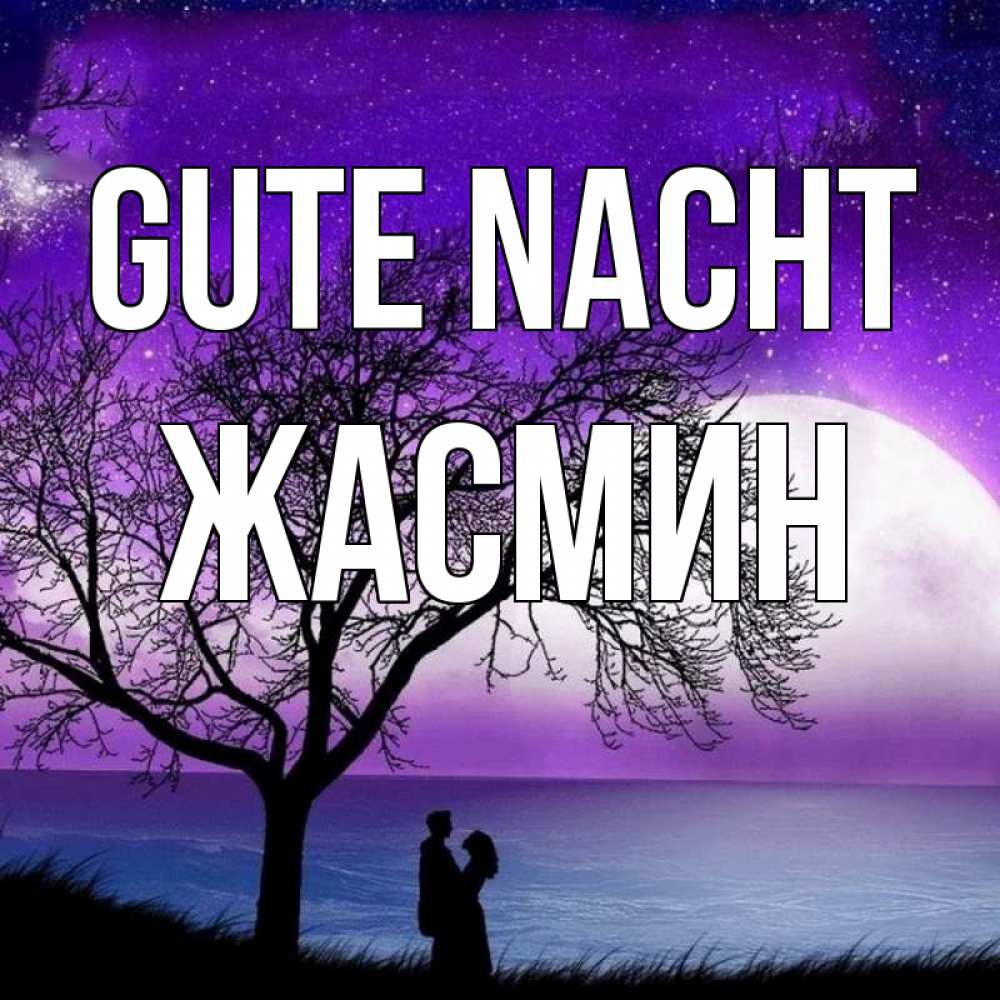 Открытка на каждый день с именем, Жасмин Gute Nacht огромная луна и парочка Прикольная открытка с пожеланием онлайн скачать бесплатно 