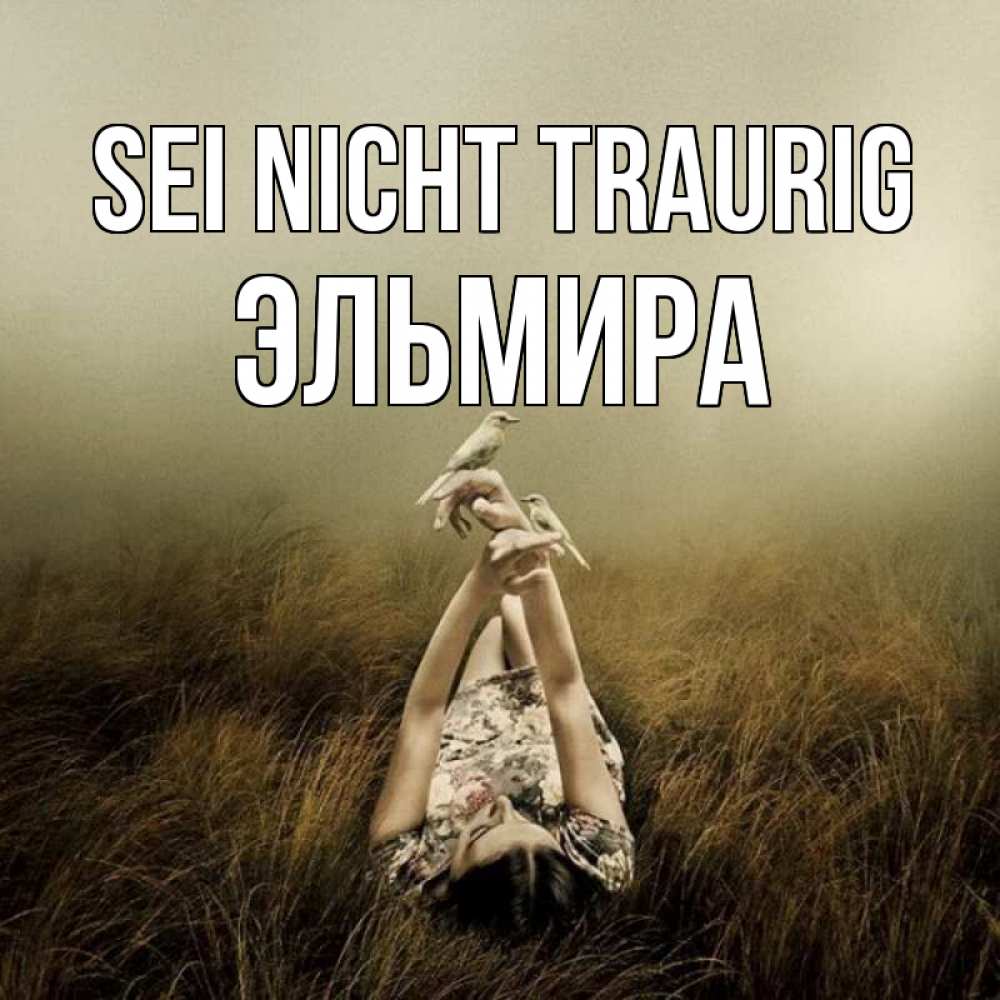 Открытка на каждый день с именем, Эльмира Sei nicht traurig поле и туман Прикольная открытка с пожеланием онлайн скачать бесплатно 