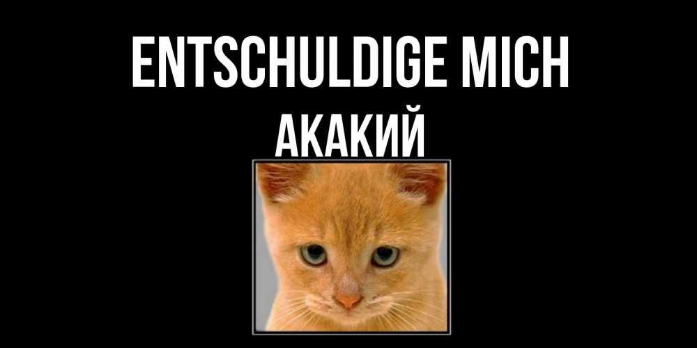 Открытка на каждый день с именем, Акакий Entschuldige mich рыжий грустный кот просит прощения Прикольная открытка с пожеланием онлайн скачать бесплатно 