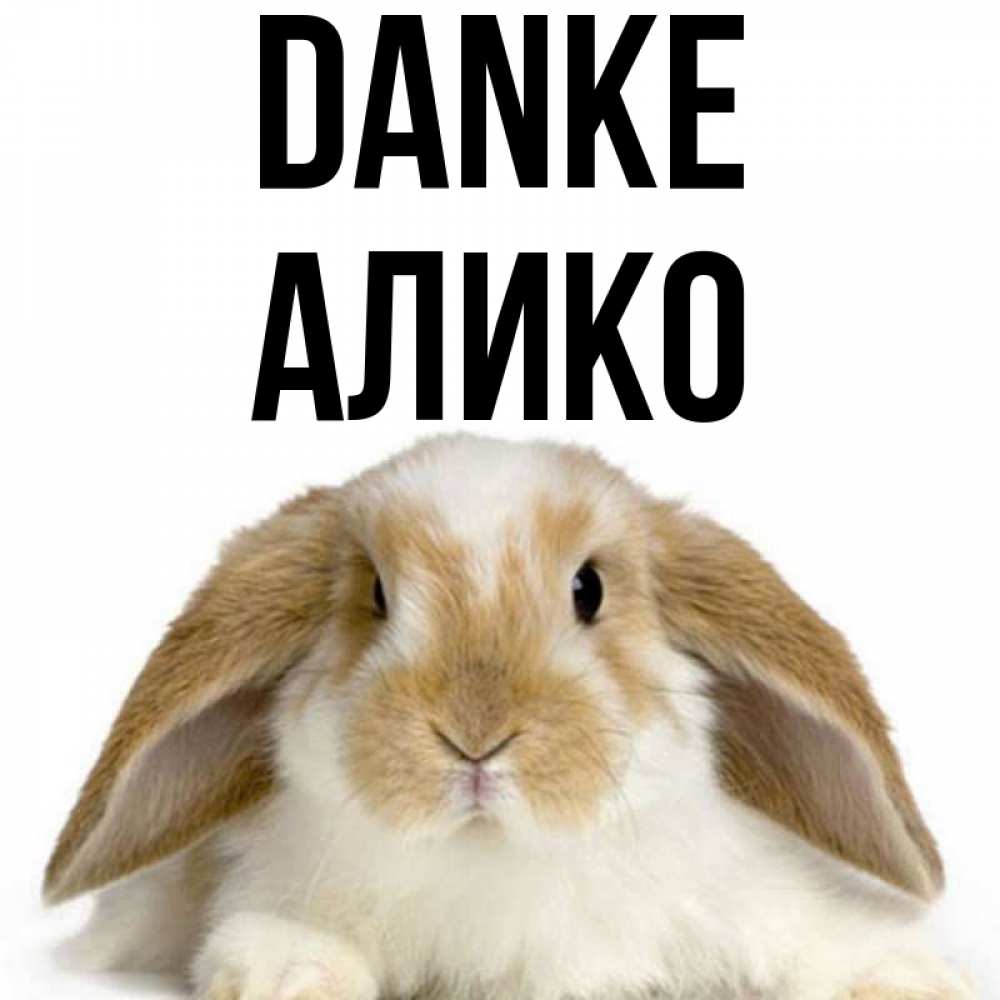Открытка на каждый день с именем, Алико Danke коричнево белый заяц Прикольная открытка с пожеланием онлайн скачать бесплатно 