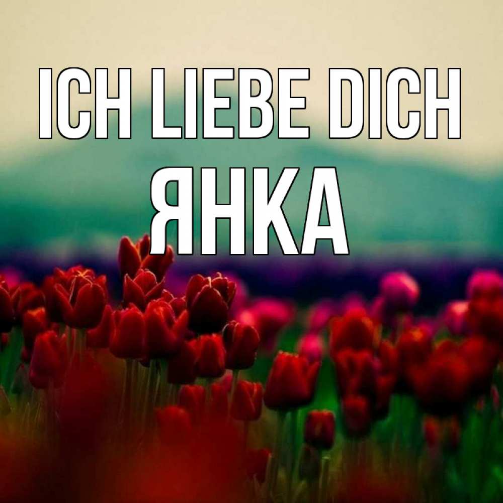 Открытка на каждый день с именем, Янка Ich liebe dich тюльпаны 4 Прикольная открытка с пожеланием онлайн скачать бесплатно 