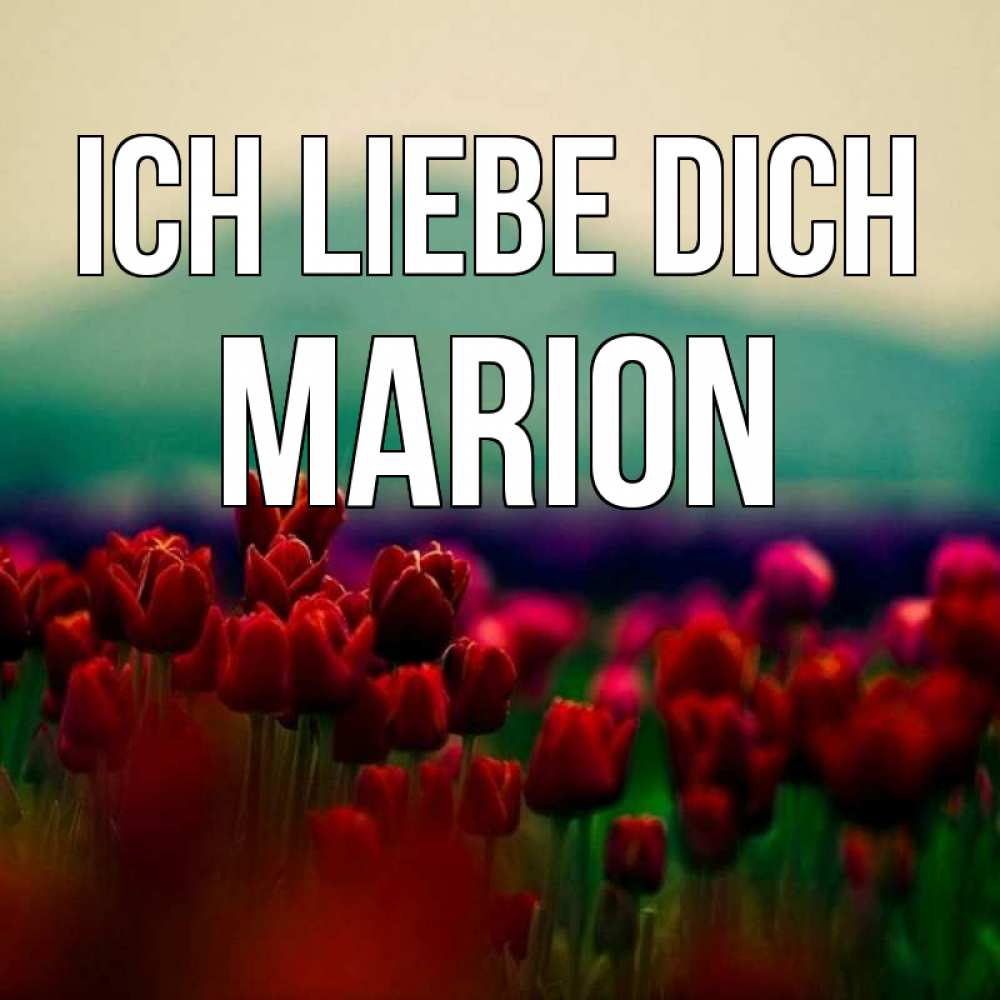 Открытка на каждый день с именем, Marion Ich liebe dich тюльпаны 4 Прикольная открытка с пожеланием онлайн скачать бесплатно 