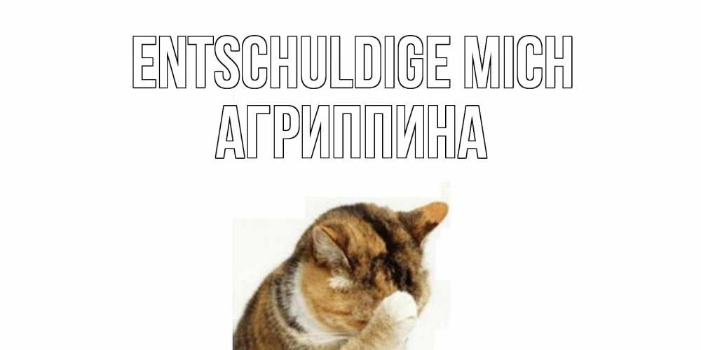 Открытка на каждый день с именем, Агриппина Entschuldige mich кот Прикольная открытка с пожеланием онлайн скачать бесплатно 