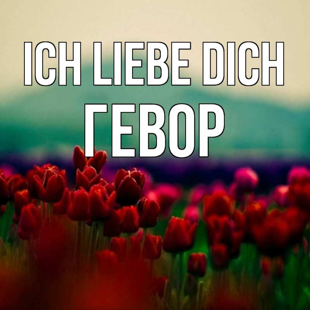 Открытка на каждый день с именем, Гевор Ich liebe dich тюльпаны 4 Прикольная открытка с пожеланием онлайн скачать бесплатно 