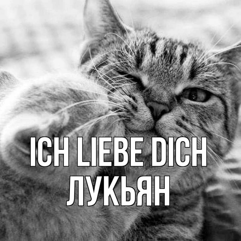 Открытка на каждый день с именем, Лукьян Ich liebe dich коты Прикольная открытка с пожеланием онлайн скачать бесплатно 