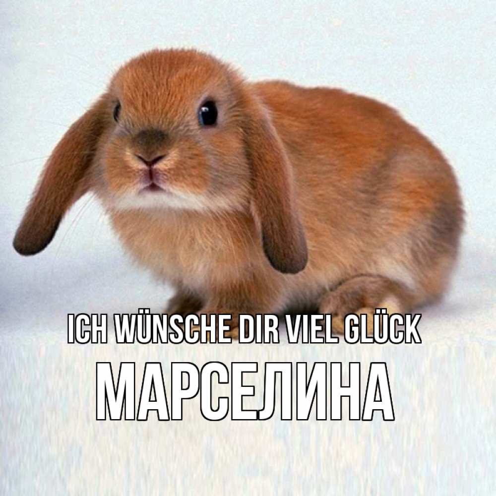 Открытка на каждый день с именем, Марселина Ich wünsche dir viel Glück вставить текст в открытку по выбору Прикольная открытка с пожеланием онлайн скачать бесплатно 