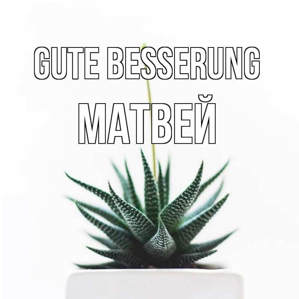 Открытка на каждый день с именем, Матвей Gute Besserung короче это непонятная колючка Прикольная открытка с пожеланием онлайн скачать бесплатно 