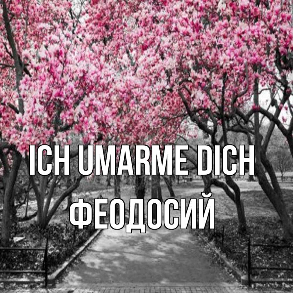 Открытка на каждый день с именем, Феодосий Ich umarme dich обработанное фото Прикольная открытка с пожеланием онлайн скачать бесплатно 