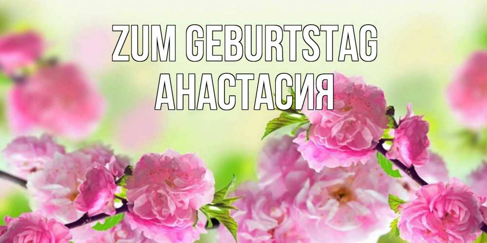 Картинка Zum Geburtstag, Анастасия