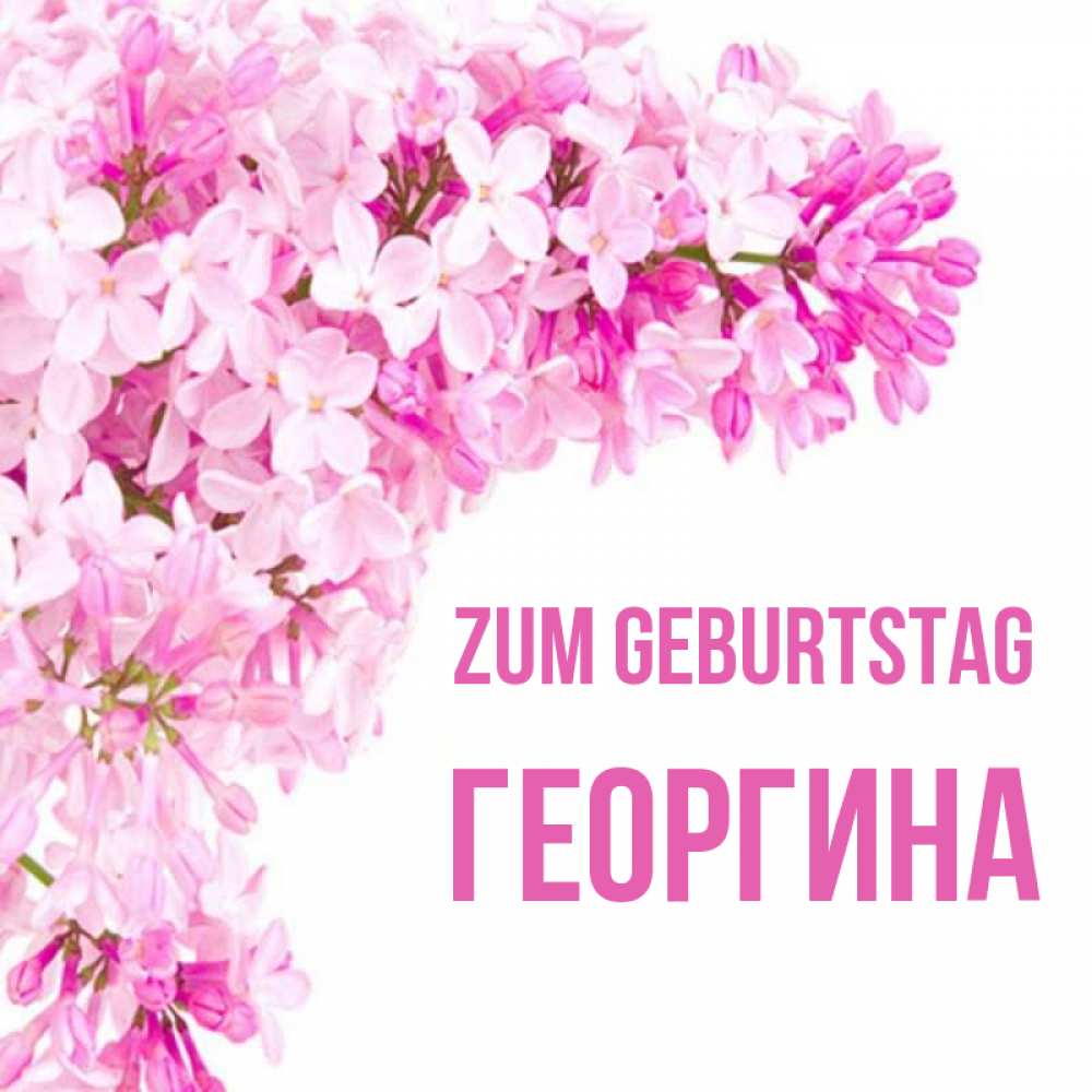 Открытка на каждый день с именем, Георгина Zum Geburtstag Сирень на белом фоне Прикольная открытка с пожеланием онлайн скачать бесплатно 