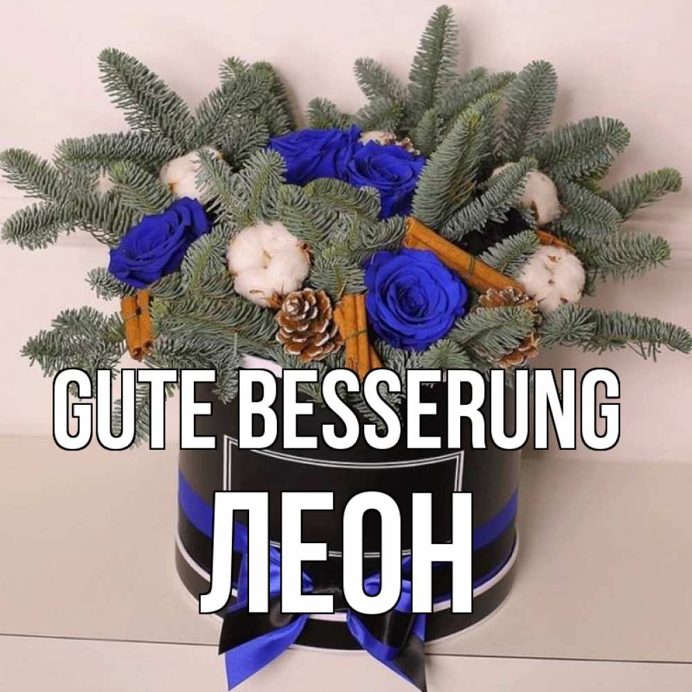 Открытка на каждый день с именем, Леон Gute Besserung короче кто то загрузил эти шишки Прикольная открытка с пожеланием онлайн скачать бесплатно 
