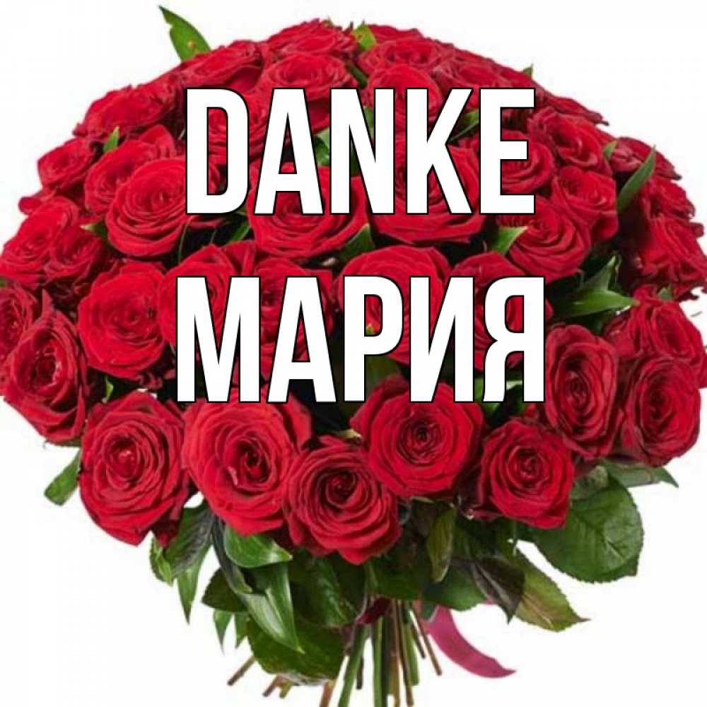 Открытка на каждый день с именем, Мария Danke букет красных роз Прикольная открытка с пожеланием онлайн скачать бесплатно 