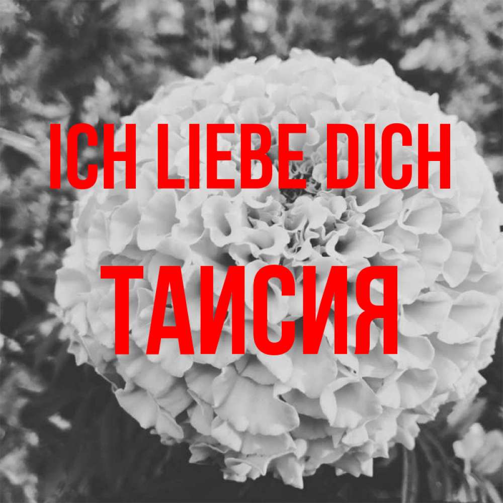 Открытка на каждый день с именем, Таисия Ich liebe dich подпись Прикольная открытка с пожеланием онлайн скачать бесплатно 