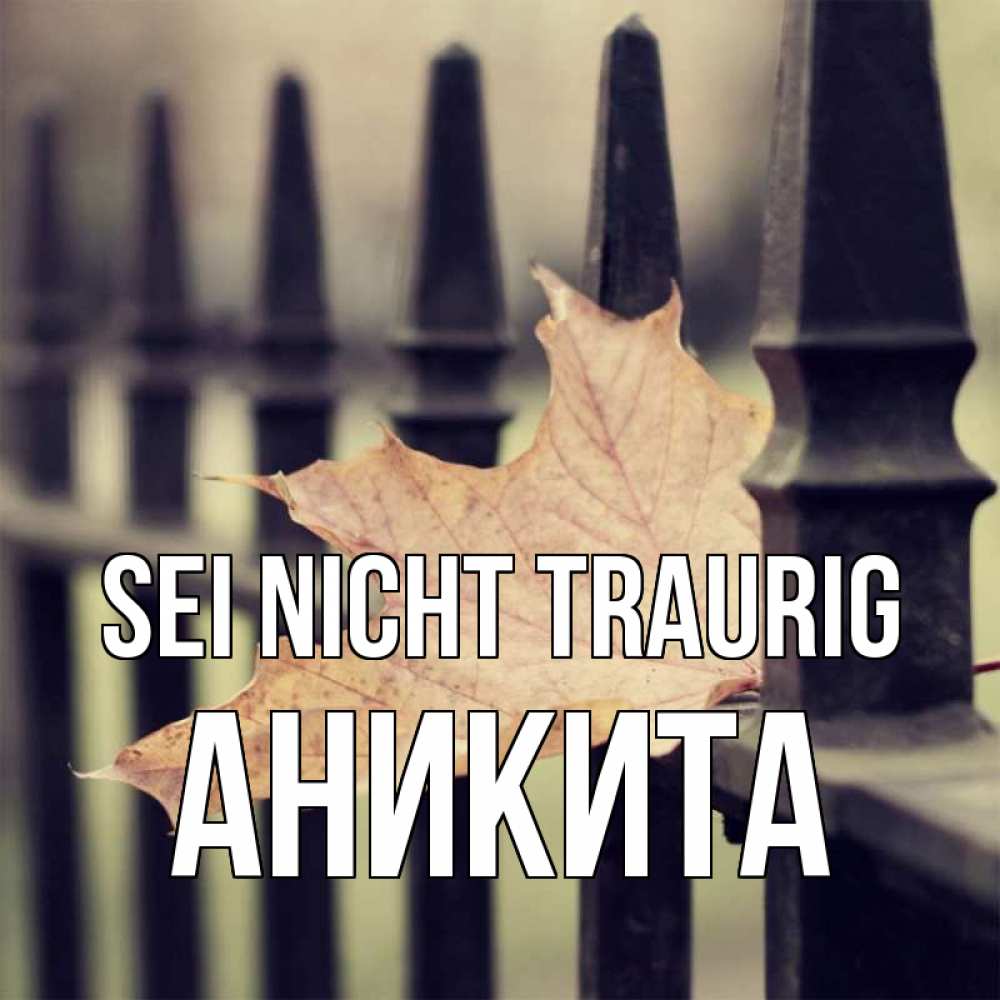 Открытка на каждый день с именем, Аникита Sei nicht traurig лист клена Прикольная открытка с пожеланием онлайн скачать бесплатно 