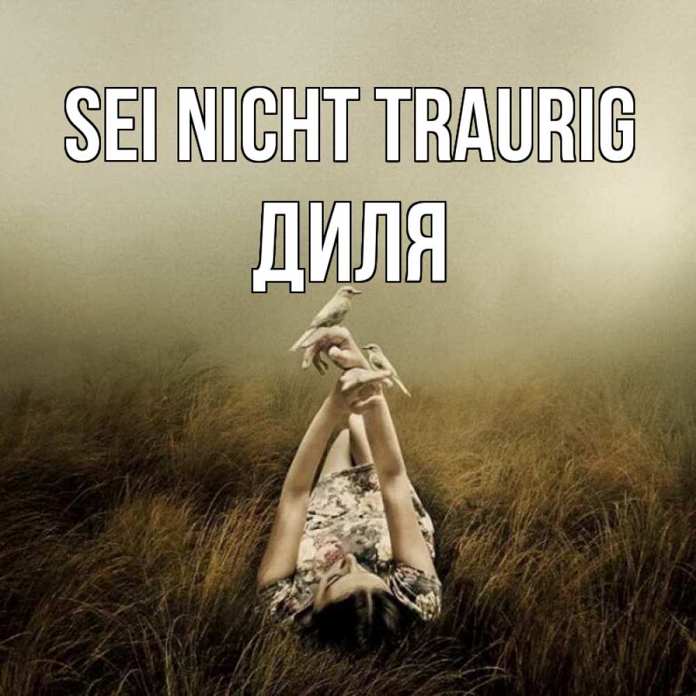 Открытка на каждый день с именем, Диля Sei nicht traurig поле и туман Прикольная открытка с пожеланием онлайн скачать бесплатно 
