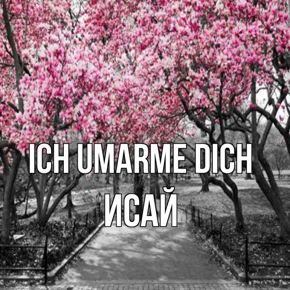 Открытка на каждый день с именем, Исай Ich umarme dich обработанное фото Прикольная открытка с пожеланием онлайн скачать бесплатно 