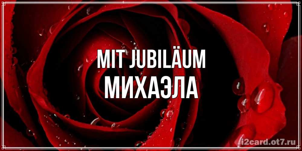 Открытка на каждый день с именем, Михаэла Mit Jubiläum крупная бордовая роза Прикольная открытка с пожеланием онлайн скачать бесплатно 