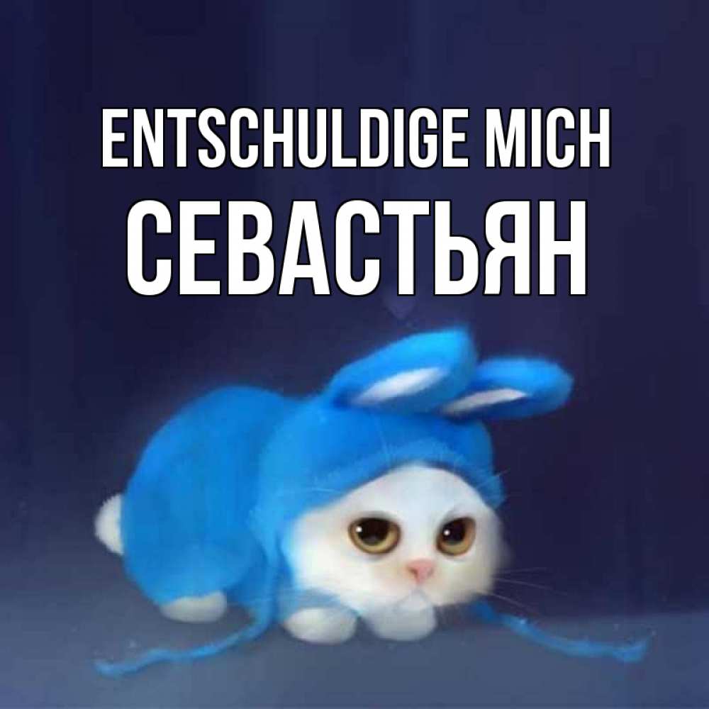 Открытка на каждый день с именем, Севастьян Entschuldige mich невинный котозай просит прощения Прикольная открытка с пожеланием онлайн скачать бесплатно 