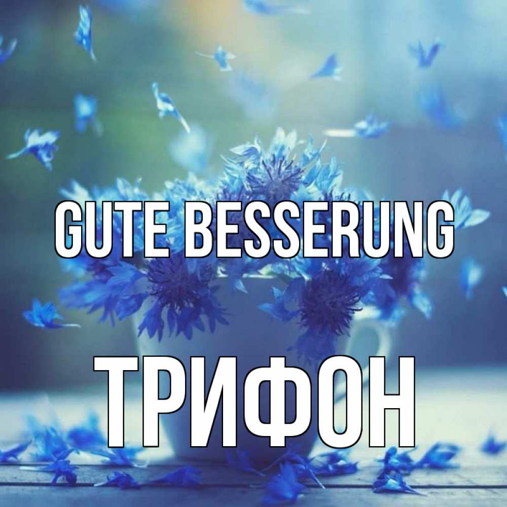 Открытка на каждый день с именем, Трифон Gute Besserung кружка с зельем и цветами Прикольная открытка с пожеланием онлайн скачать бесплатно 
