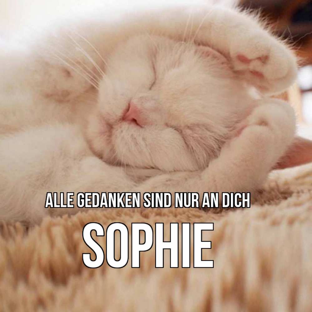 Открытка на каждый день с именем, Sophie Alle Gedanken sind nur an dich для любимой девушки милота Прикольная открытка с пожеланием онлайн скачать бесплатно 