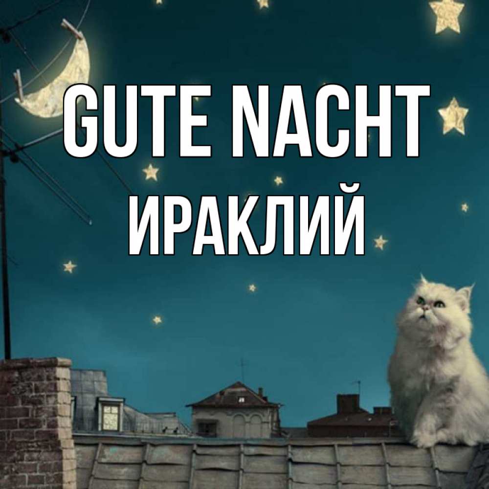 Открытка на каждый день с именем, Ираклий Gute Nacht белый кот сидит на крыше Прикольная открытка с пожеланием онлайн скачать бесплатно 