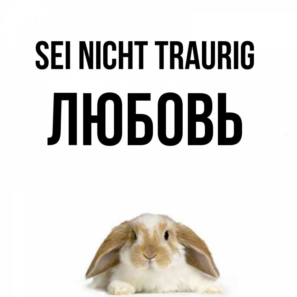 Открытка на каждый день с именем, Любовь Sei nicht traurig коричнево белый заяц с большими ушками Прикольная открытка с пожеланием онлайн скачать бесплатно 