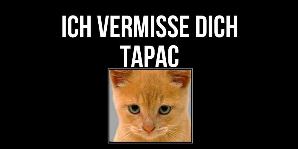 Открытка на каждый день с именем, Тарас Ich vermisse dich открытки рыжий котенок скучает по тебе Прикольная открытка с пожеланием онлайн скачать бесплатно 