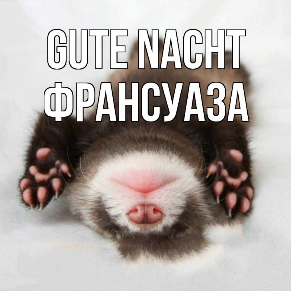 Открытка на каждый день с именем, Франсуаза Gute Nacht зверек Прикольная открытка с пожеланием онлайн скачать бесплатно 