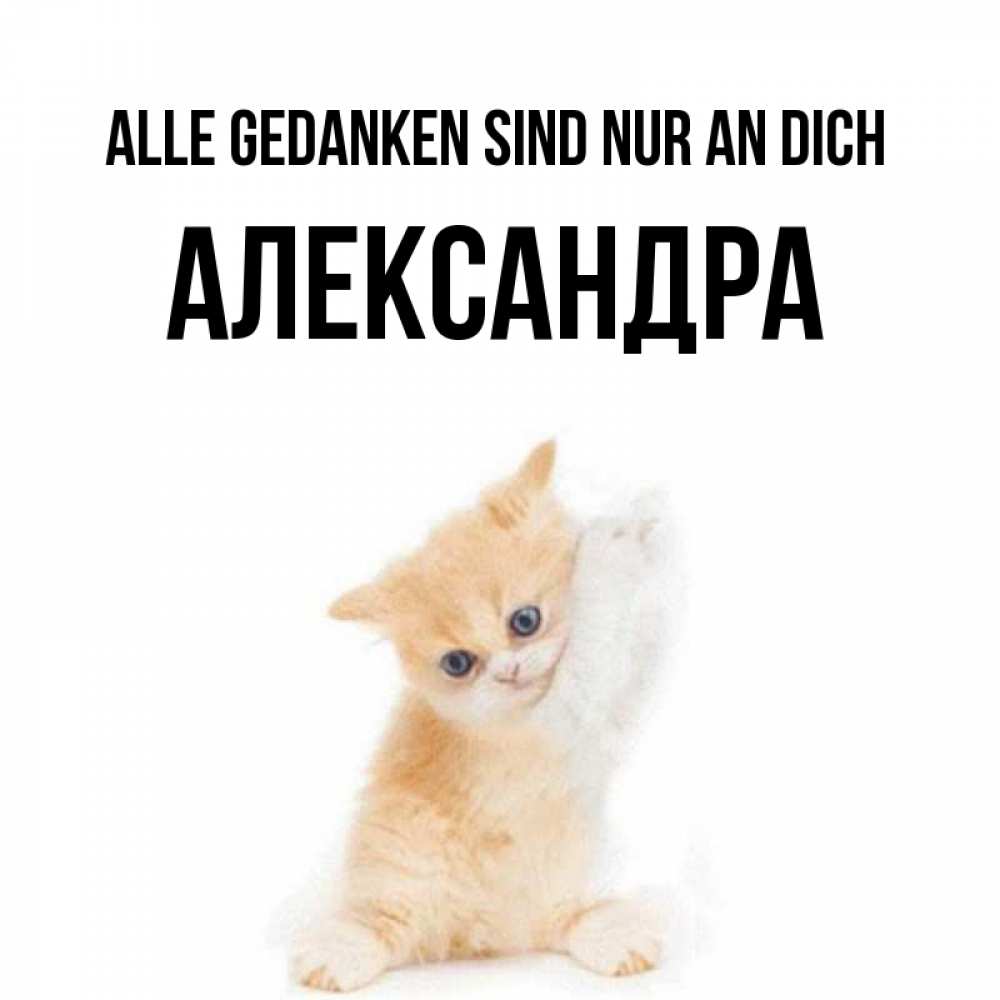 Открытка на каждый день с именем, Александра Alle Gedanken sind nur an dich зверушки и милота Прикольная открытка с пожеланием онлайн скачать бесплатно 