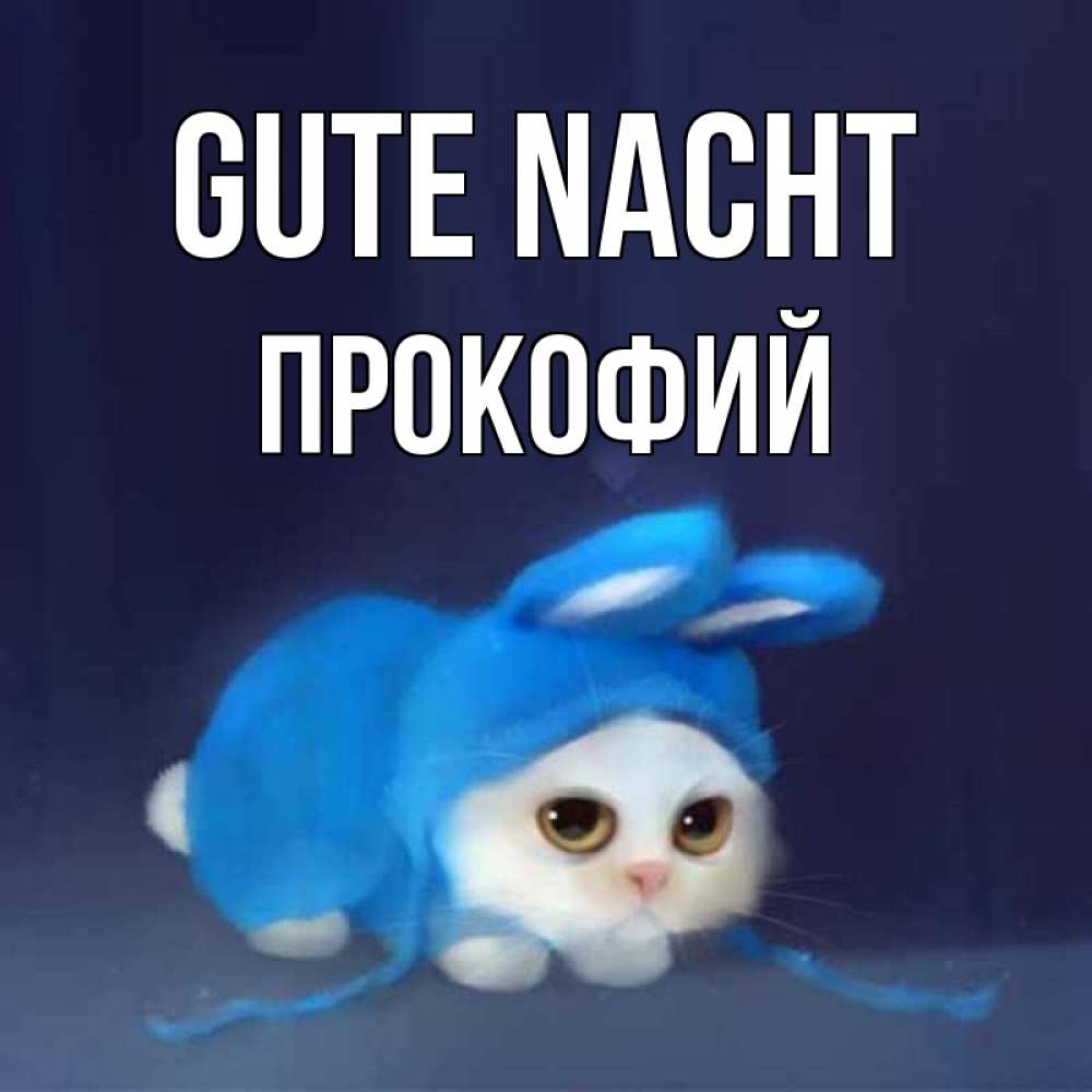 Открытка на каждый день с именем, Прокофий Gute Nacht кот в голубом костюме кролика с ушками Прикольная открытка с пожеланием онлайн скачать бесплатно 