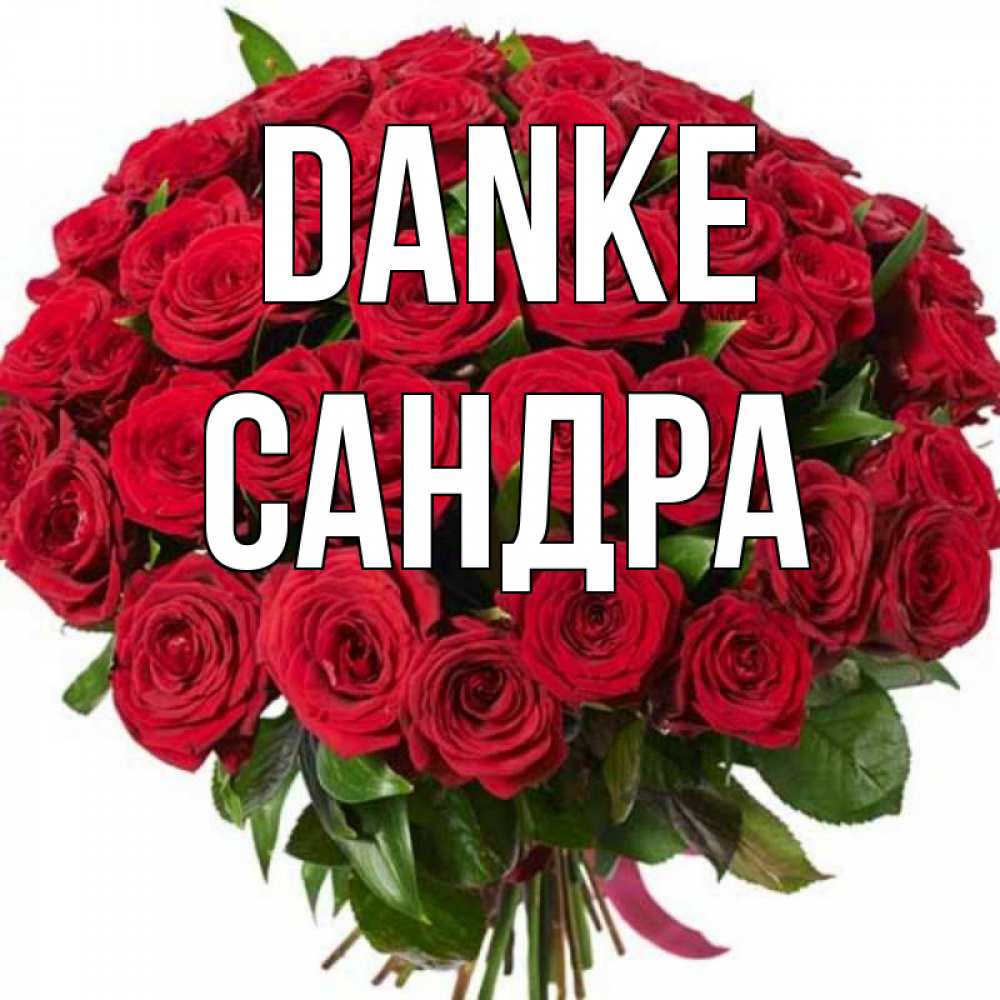Открытка на каждый день с именем, Сандра Danke букет красных роз Прикольная открытка с пожеланием онлайн скачать бесплатно 