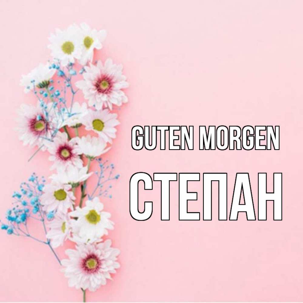 Открытка на каждый день с именем, Степан Guten Morgen цветы с подписью Прикольная открытка с пожеланием онлайн скачать бесплатно 