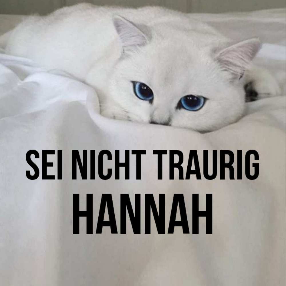 Открытка на каждый день с именем, Hannah Sei nicht traurig Голубоглазая кошка Прикольная открытка с пожеланием онлайн скачать бесплатно 