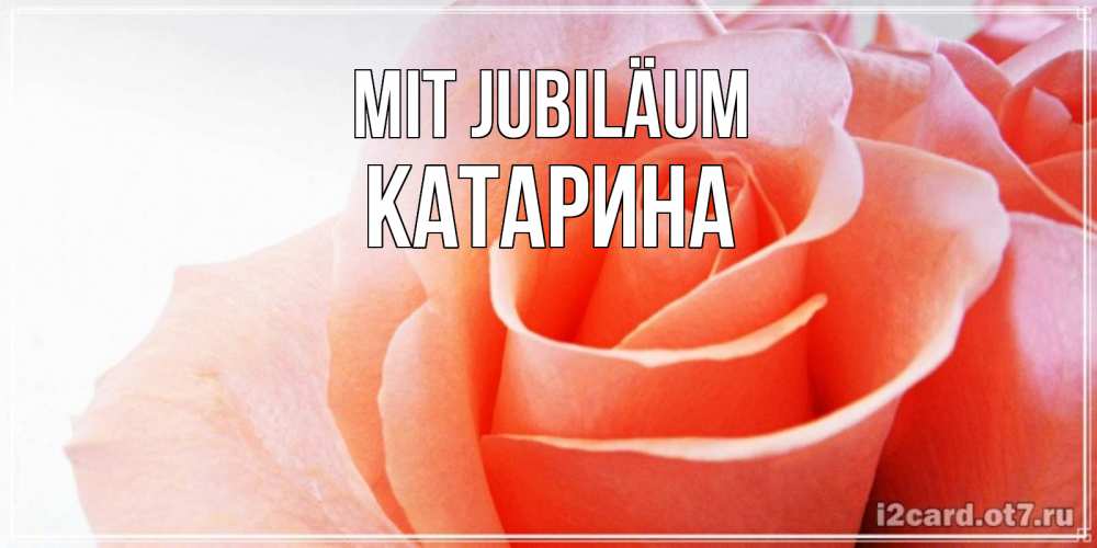 Открытка на каждый день с именем, Катарина Mit Jubiläum розы для поздравления с днем рождения Прикольная открытка с пожеланием онлайн скачать бесплатно 