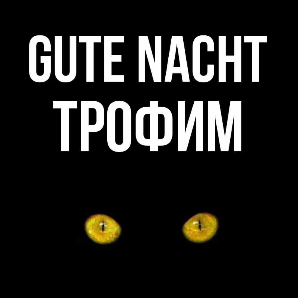 Открытка на каждый день с именем, Трофим Gute Nacht сладких снов бесстрашный мой дружочек Прикольная открытка с пожеланием онлайн скачать бесплатно 