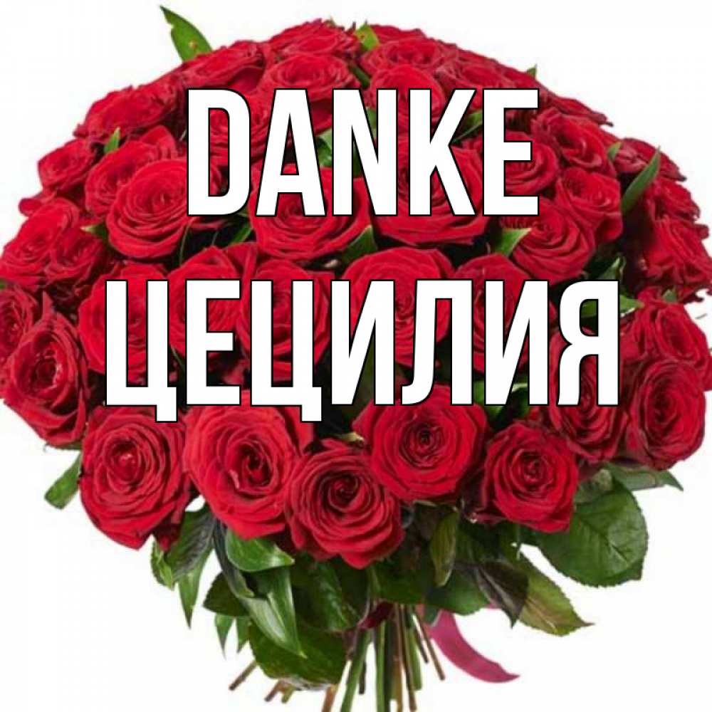 Открытка на каждый день с именем, Цецилия Danke букет красных роз Прикольная открытка с пожеланием онлайн скачать бесплатно 