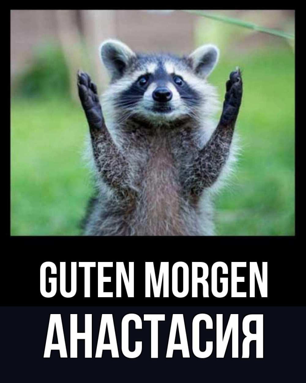 Открытка на каждый день с именем, Анастасия Guten Morgen хорошее настроение утречком Прикольная открытка с пожеланием онлайн скачать бесплатно 