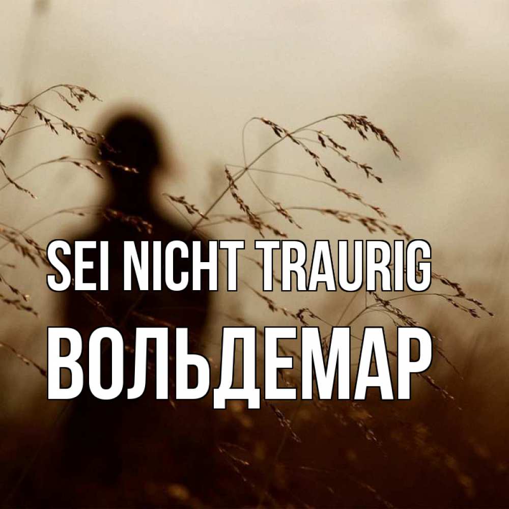Открытка на каждый день с именем, Вольдемар Sei nicht traurig грусть Прикольная открытка с пожеланием онлайн скачать бесплатно 